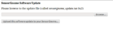 the update file upload section of the web interface