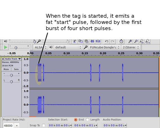 tag_registration_zoom_into_first_burst.png